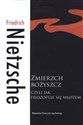 Zmierzch bożyszcz czyli jak filozofuje się młotem Bookshop