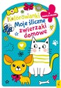 Kolorowanki z naklejkami Moje śliczne zwierzaki domowe Polish Books Canada