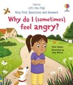 Very First Questions and Answers: Why do I (sometimes) feel angry?  polish usa