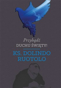 Przybądź Duchu Święty! polish usa