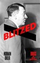 Blitzed Drugs in Nazi Germany in polish