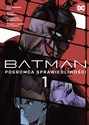 Batman. Pogromca sprawiedliwości. Tom 1 - Eiichi Shimizu, Tomohiro Shimoguchi