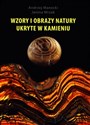 Wzory i obrazy natury ukryte w kamieniu - Polish Bookstore USA