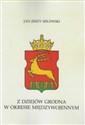 Z dziejów Grodna w okresie międzywojennym polish books in canada