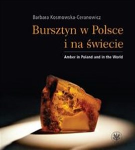 Bursztyn w Polsce i na świecie Amber in Poland and in the World  