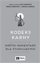 Kodeks karny Krótki komentarz dla studiujących - Polish Bookstore USA