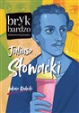 Juliusz Słowacki Bryk bardzo niekonwencjonalny Polish Books Canada