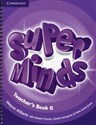 Super Minds 6 Teacher's Book  