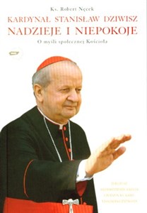 Kardynał Stanisław Dziwisz Nadzieje i niepokoje O myśli społecznej Kościoła Polish bookstore