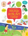 Co i jak? Dlaczego rośliny rosną? 