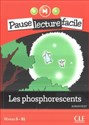 Les phosphorescents + CD polish usa
