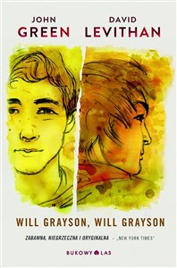 Will Grayson, Will Grayson  