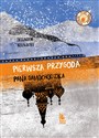 Pierwsza przygoda Pana Samochodzika  - Zbigniew Nienacki