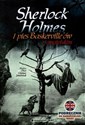 Sherlock Holmes i pies Baskerville'ów z angielskim pl online bookstore