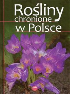 Rośliny chronione w Polsce 