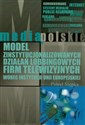 Model zinstytucjonalizowanych działań lobbingowych firm telewizyjnych wobec instytucji Unii Europejskiej pl online bookstore