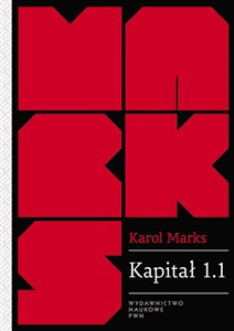 Kapitał 1.1. Rezultaty bezpośredniego procesu produkcji online polish bookstore