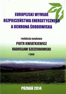 Europejski wymiar bezpieczeństwa energetycznego a ochrona środowiska in polish