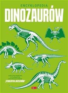 Encyklopedia dinozaurów in polish