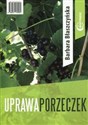 Uprawa porzeczek  