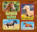 Konie. Коні Harmonijka mała - Opracowanie Zbiorowe