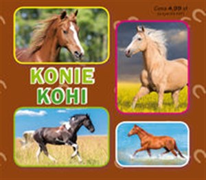 Konie. Коні Harmonijka mała pl online bookstore