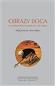 Obrazy Boga w literaturze polskiej XX i XXI wieku Przełom XX i XXI wieku Polish bookstore