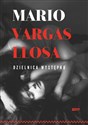 Dzielnica występku - Llosa Mario Vargas