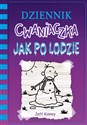 Dziennik cwaniaczka Jak po lodzie polish books in canada