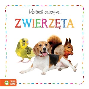 Maluch odkrywa Zwierzęta polish books in canada