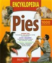 Encyklopedia Pies 1000 kluczowych rad - Opracowanie Zbiorowe