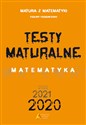 Testy Maturalne Matematyka Poziom rozszerzony - Dorota Masłowska, Tomasz Masłowski, Piotr Nodzyński, Elżbieta Słomińska, Alicja Strzelczyk