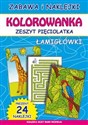 Kolorowanka Zeszyt pięciolatka Łamigłówki - Beata Guzowska, Marta Bindek