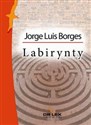 Borges i hebrajscy przyjaciele Labirynty Nowa antologia / Dawidowa harfa Pakiet chicago polish bookstore