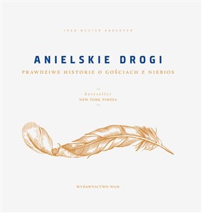 Anielskie drogi Prawdziwe historie o gościach z niebios  