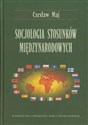 Socjologia stosunków międzynarodowych Bookshop