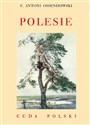 Polesie bookstore