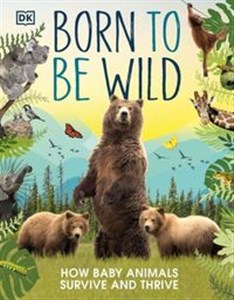 Born to be Wild How baby animals survive and thrive Bookshop
