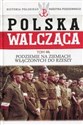 Polska Walcząca Tom 44 Podziemie na ziemiach włączonych do Rzeszy buy polish books in Usa