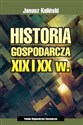 Historia gospodarcza XIX i XX wieku - Polish Bookstore USA