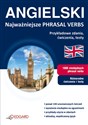 Angielski Najważniejsze Phrasal Verbs Przykładowe zdania, ćwiczenia, testy Polish bookstore