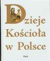 Dzieje Kościoła w Polsce -  polish usa