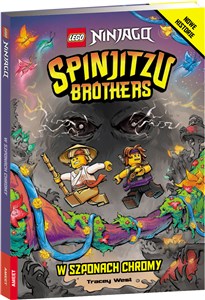 Lego Ninjago Spinjitzu Brothers W szponach Chromy polish usa