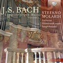 J. S. Bach: Complete Organ Music Volume 3 polish books in canada