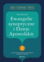 Ewangelie synoptyczne i Dzieje Apostolskie 2 - Pablo Maria Edo  