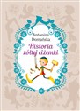 Historia żółtej ciżemki - Antonina Domańska pl online bookstore