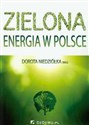 Zielona energia w Polsce  