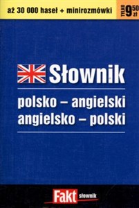 Słownik polsko-angielski, angielsko-polski Polish bookstore