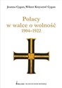 Polacy w walce o wolność 1904 - 1922 polish usa