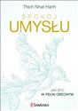 Spokój umysłu Jak być w pełni obecnym Bookshop